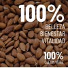 OLEUM VITAE Aceite Esencial de Almendras Dulces. Prunus Amygdalus Dulcis.100%