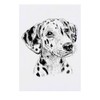 'Dalmation Puppy Portrait' Temporary Tattoo - Water Resistant, Skin-Safe, Non-Toxic