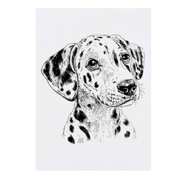 'Dalmation Puppy Portrait' Temporary Tattoo - Water Resistant, Skin-Safe, Non-Toxic Transfer (TO00081573)