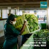Dilmah Tea Bags | Premium Single Origin, 100% Pure Ceylon