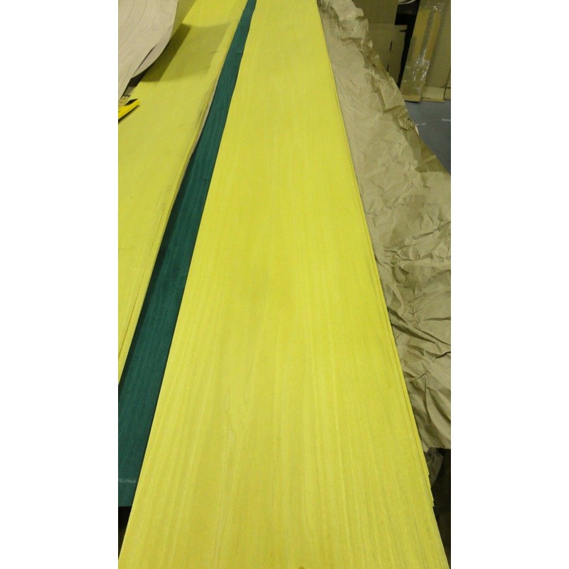 Yellow Poplar Dyed Wood Veneer 12" x 100" raw no