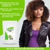 SIDR (JUJUBE) POWDER 100/200/300 gr - A natural cleanser plant