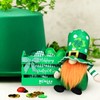 St Patricks Day Decorations for Home, Green Wooden Crate with