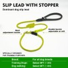 BeauGo Slip Leash Professional Dog Training,Lead to Stop Pulling,Perfect for