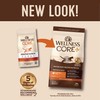 Wellness CORE+ Adult Dry Cat Food for Indoor and Outdoor