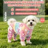 Sueter para Perros Chicos, Ropa Luminosa para Perros, Ropa para