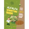Todd’s Seeds - Alfalfa Sprouting Seeds - Easy to Grow