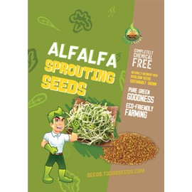 Todd’s Seeds - Alfalfa Sprouting Seeds - Easy to Grow - Fast Growing Seeds with High Sprout Germination (One Pound)