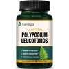 Polypodium Leucotomos Extract Capsules for Immune & Skin Health