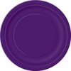Premium Deep Purple Paper Dinner Plates - 9" (8 ct)