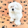 TBK Pets Double-Sided Fleece Pet Blanket, Soft Snuggle Blanket for