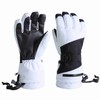 Ski Gloves Snow Gloves Mens Womens Waterproof & Windproof Touchscreen