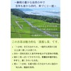 Chaku Sakyu Mellow Sencha Tea Bag, Satoyama Shizuku (0.2 oz