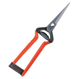 越路 打物 Buds Cutting Scissor K – 4 