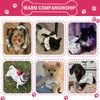 TAPBULL Dog Dresses, Fashionable Pet Dog Clothes with Heart Design,