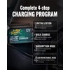 12V 1.25A Battery CHRGR