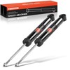 A-Premium Rear Pair (2) Shock Absorber Compatible with Chrysler Pacifica