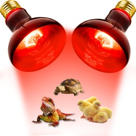 Flaspar 100W Reptile RED Heat Lamp Bulbs, Reptile & Amphibian Basking Spot Light Bulbs for Chickens Coop Pets Brooder Bearded Dragon Lizard Tortoise Use, Pack of 2