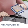 Emsa N11506 Clip & Close Stainless Steel Food Storage Container,