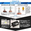 pikakyuu LED Monster L4600 fogubarubukitto White K (H8/H11/H16) [ –