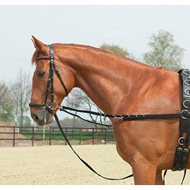 Side-Reins RINGS-FIXED, Full, black/NP