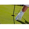 Nice Shot The Bird Golf Glove, Men's Right Hand in