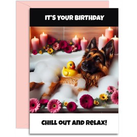 German Shepherd Birthday Card - Chill out and Relax - A5 Size with Pink Envelope. Funny Card for her, mum, nan, auntie, sister, daughter. Designed and Printed in the UK