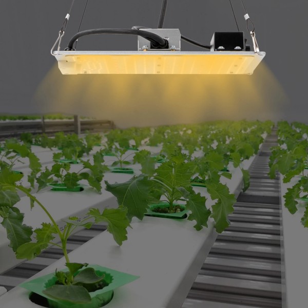 Unbranded 3x3 Ft Indoor Plant Growth High Coverage Grow Light