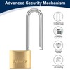 XTUFF Solid Brass Padlock with 6 Same Keys, Keyed Alike