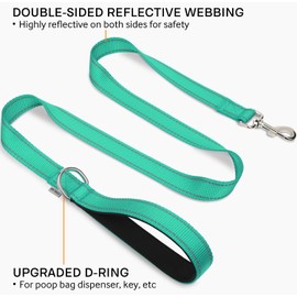 Joytale Dog Lead for Small Dogs, Lightweight, Double-Sided, Reflective Nylon with Padded Handle, 1.5 m x 2 cm, Turquoise