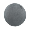 Exercise Ball - Sitting Ball Covers with Handle,Dustproof Protective Case