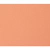 ニッタク(Nittaku) 卓球 ラバー キョウヒョウ プロ3 TURBO ORANGE 裏ソフト 粘着性 ブラック
