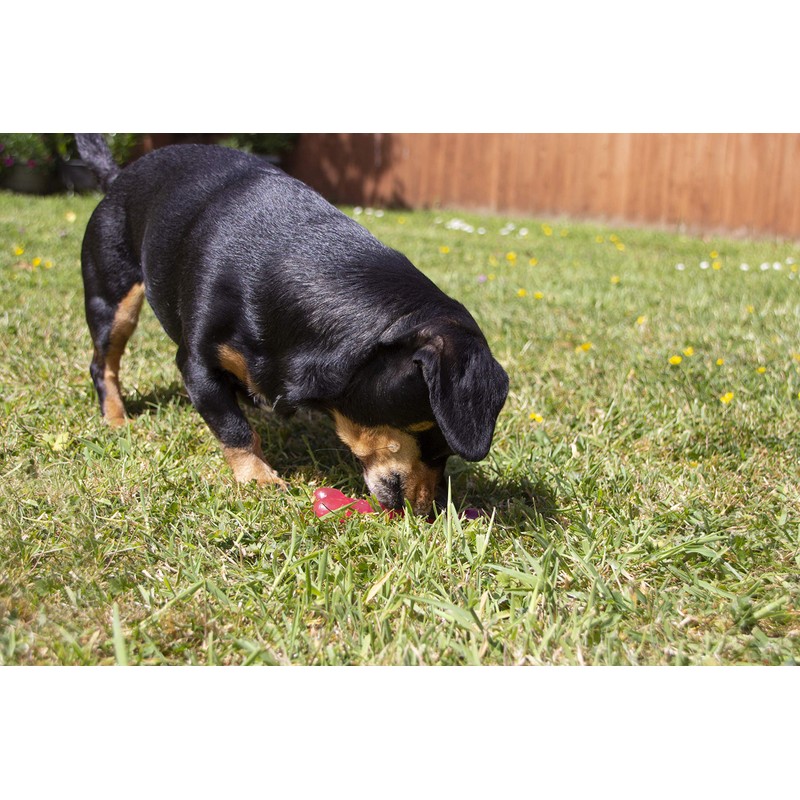 Rosewood Biosafe Puppy Bone Dog Toy, Pink