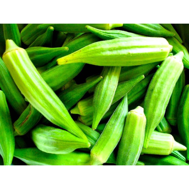 Green Okra 20+ Non-GMO Seeds for Planting
