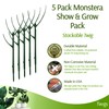 Twigs GA - Stackable Monstera Plant Support Stakes, Climbing Support