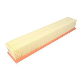 Filtron Air Filter AP035 3