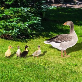 Outdoor Statues 5pcs Garden Stakes Animal Sculpture Realistic Lifelike Acrylic Garden Poultry Statue for Yard Garden Lawn Outdoor Decor Ornaments Gnomes Figurines