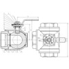 WOG200 3-Way 304 Stainless Steel Ball Valve L-Type 1" NPT