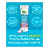 Zenwise Enzimas Digestivas 30 Tabletas Masticables Sabor Bayas