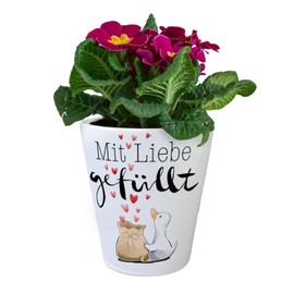 speecheese Duck Flower Pot with Saying Filled with Love Valentine's Day Gift Wedding Gift Romantic Messenger of Love for Valentine's Day Wedding Personal Greetings