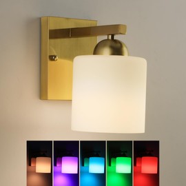 Battery Operated Wall Sconces with 16 RGB: 1-Light Milk Glass Rechargeable Wall Sconce, Wireless Vanity Light Fixtures for Bathroom, Modern Wall Lighting for Hallway/Entryway/Bedroom/Living Room