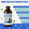 Cat Gingivitis Treatment Liquid 100ml - Cats Dental Care Clean
