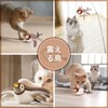 Interactive Cat Toy, Flying Bird Cat Toy, Bird Shaped Cat
