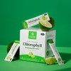Nature's Sunshine Chlorophyll Stick Packs – Lime Twist Flavor |