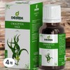 Destech Vitamin E Oil Body Oil Turkish Eucalyptus Aroma Essential Oil Concentrate Lid Dropper Type Random Delivery 4 Pieces 20ml / 데스텍 비타민E오일 바디오일 터키 유칼립투스 아로마 에센셜 오일 원액 뚜껑 스포이드 타입 랜덤발송 4개 20ml