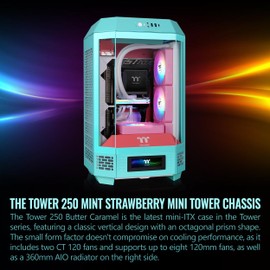 Thermaltake Tower 250 mITX Mini Tower; 2x120mm CT Fans Included; 360mm Radiator Support; 360mm GPU Clearance; Dual Chamber; Mint Strawberry; CA-1Z9-00SLWN-00