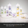 SALERM - Grape Seed Oil - Salerm Grapeology Biokera Natura