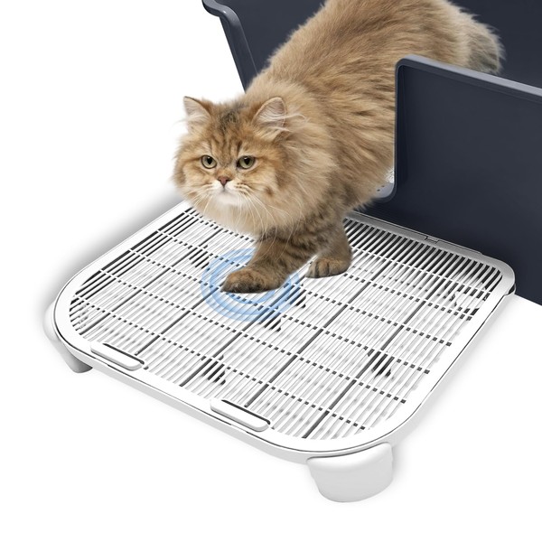 TAILRYTH Elevated Cat Litter Mat Large,19.7"×15.8"×3.6",Double Layer Kitty Litter Trapping