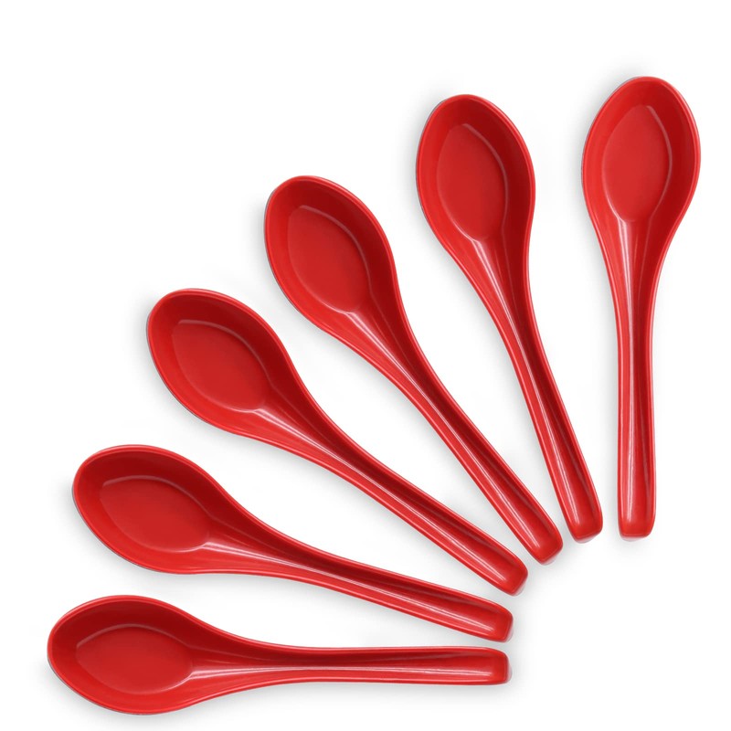 Cionyce 2PCS Wonton Soup Spoons, Chinese Japanese Miso Ramen Dumpling