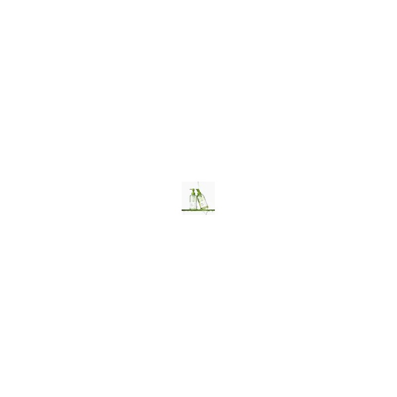 비플레인 녹두클렌징오일 200mlx2개+50ml [총 450ml] Mung Bean Cleansing Oil 200ml
